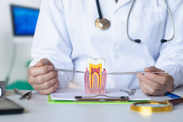 Best Emergency Dental Care for Broken or Chipped Teeth in Goldthwaite, TX